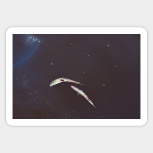 Crab on Fish in Space Sticker